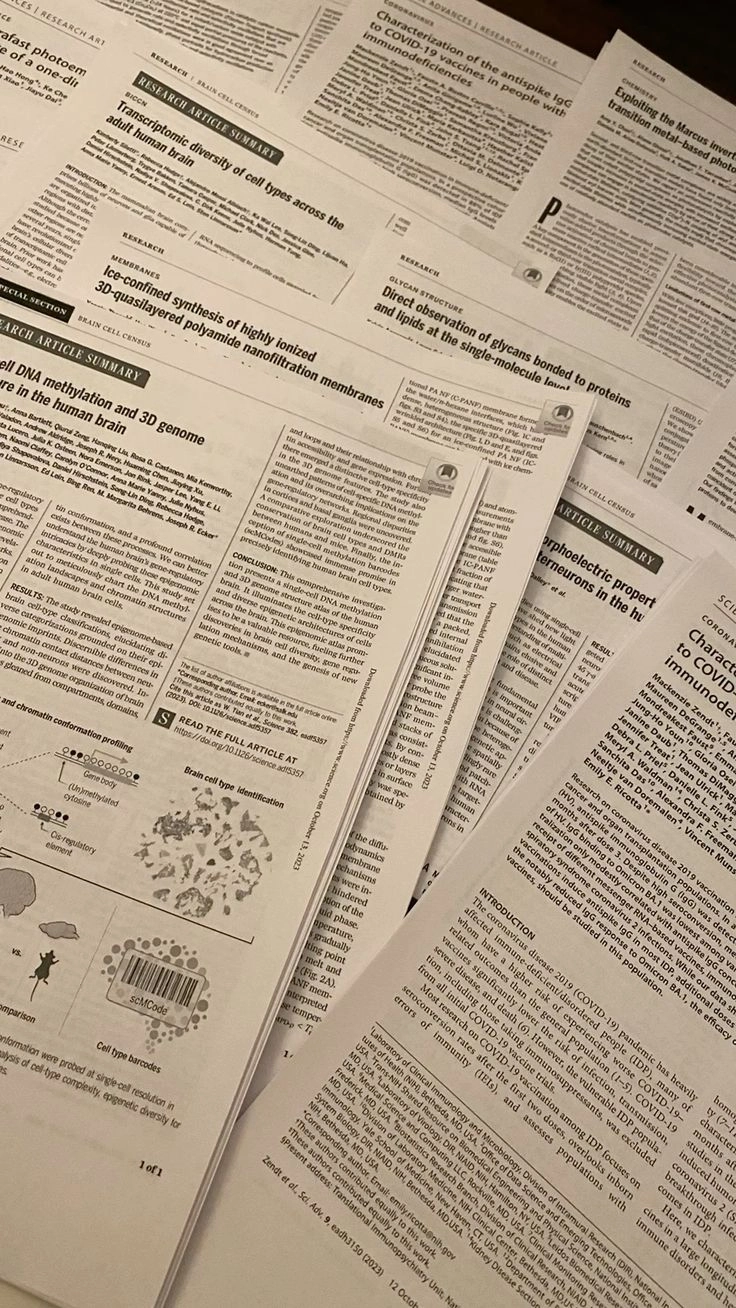 Research Paper Help